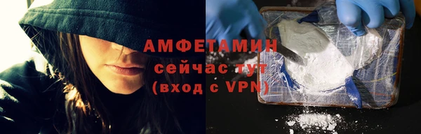 индика Абаза
