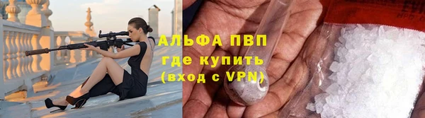 индика Абаза