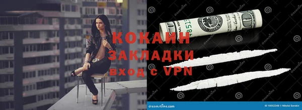 индика Абаза