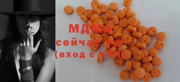 индика Абаза