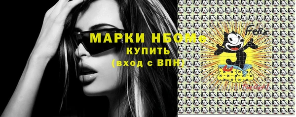 индика Абаза