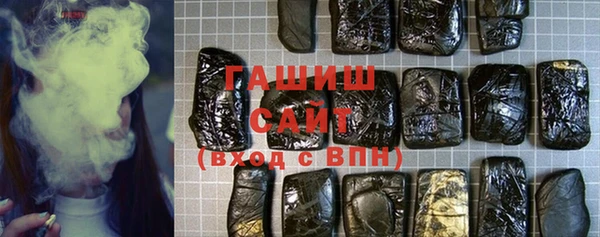 индика Абаза