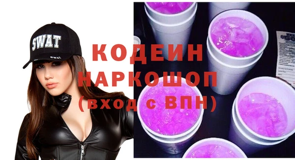 индика Абаза